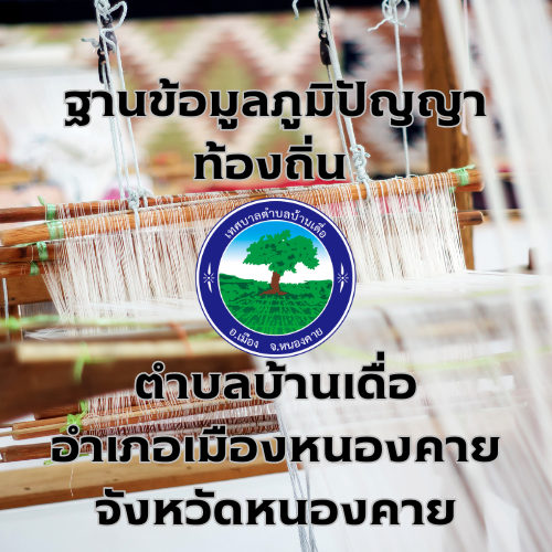 ฐานข้อมูลภูมิปัญญาท้องถิ่น ประจำปี 2566 เทศบาลตาบลบ้านเดื่อ